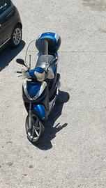 Sh 300