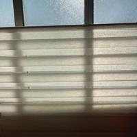 Tenda a rullo notte e giorno