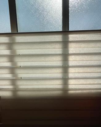 Tenda a rullo notte e giorno