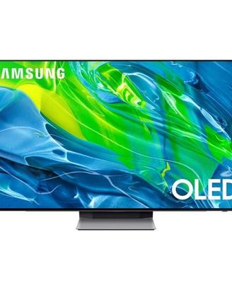 Ricambi Samsung TV OLED QE55S95BATXXC