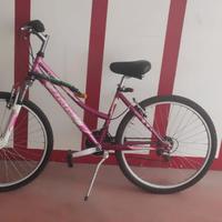 city bike da donna/ragazza