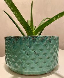Vaso fiori