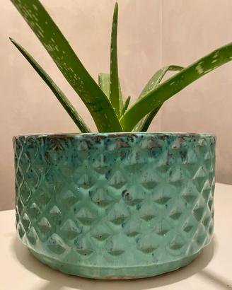 Vaso fiori