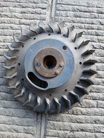 Volano vespa primavera