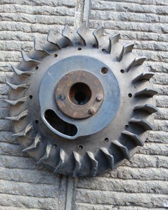 Volano vespa primavera