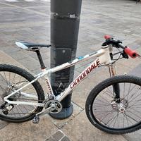 mtb cannondale flash F1 monoforcella