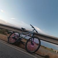 Merida 40 matts custom 