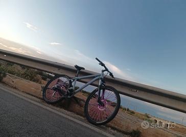 Merida 40 matts custom 