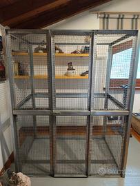 voliera gabbia per animali