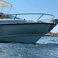 Boston Whaler