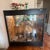 Terrario teca rettilario