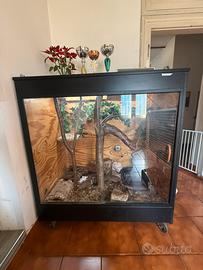 Terrario teca rettilario