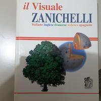 Il Visuale Zanichelli