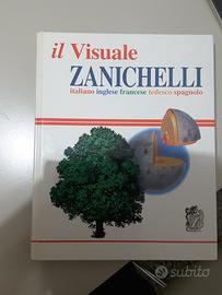 Il Visuale Zanichelli