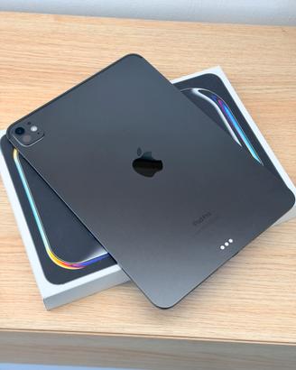 Ipad Pro 11 pollici M4 256gb wifi - batteria 100 %