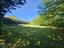 Immagine 20