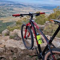 bici focus raven factory 29