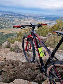 bici focus raven factory 29