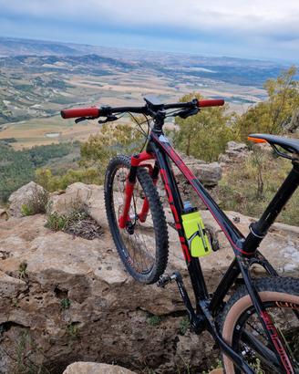 bici focus raven factory 29