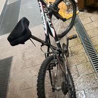 Bici per ragazzo 9-12 anni