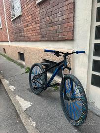 Mountain bike rockrider personalizzata gomme maxxs