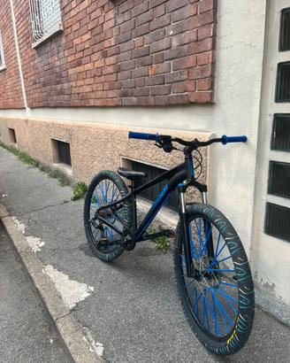Mountain bike rockrider personalizzata gomme maxxs