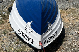 Barca in vetroresina