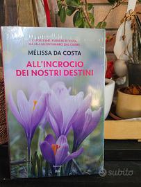 Melissa da Costa, all'incrocio dei nostri destini