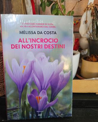 Melissa da Costa, all'incrocio dei nostri destini