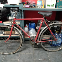 Bianchi storica