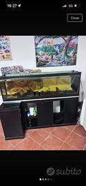 Acquario