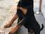 Immagine 3