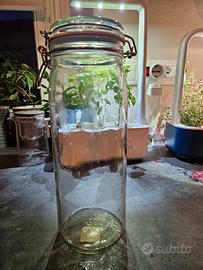 Contenitore in vetro Ikea Korken per spaghetti