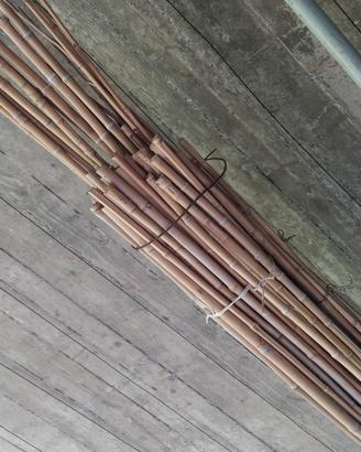 "Centinaio" di Canne di Bambù x ORTO