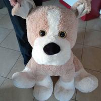 cane peluche 