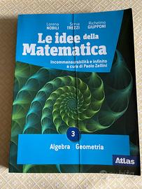 Le idee della matematica 3