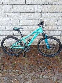 Bicicletta Megamo tg 24