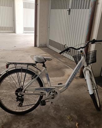 bici donna 