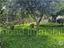 Immagine 23
