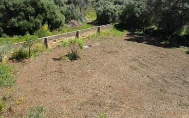 RGE 134/2025 Trib Marsala - LOTTO 3