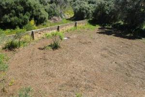 RGE 134/2025 Trib Marsala - LOTTO 3