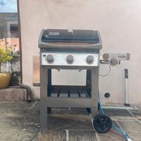 Griglia Weber