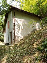 Bosco 52.000 mq e Rustico 86mq