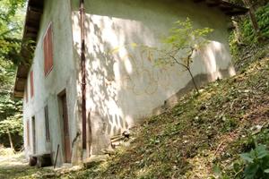 Bosco 52.000 mq e Rustico 86mq
