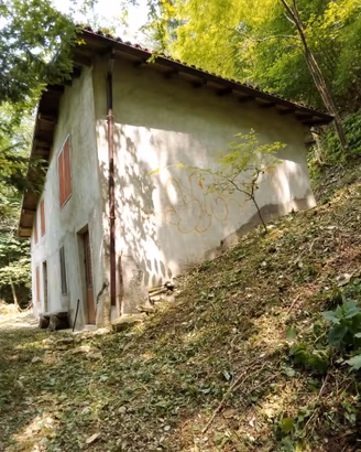 Bosco 52.000 mq e Rustico 86mq