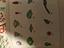 Immagine 5