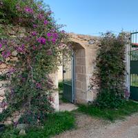 Gallipoli immediata periferia villino