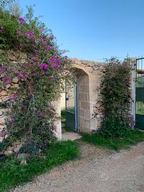 Gallipoli immediata periferia villino