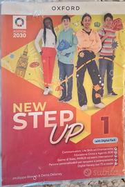 New Step Up 1