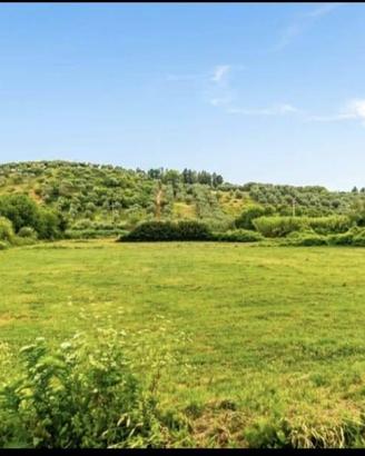 TERRENO PIANEGGIANTE DI 10,370 Mq. CON POZZO
